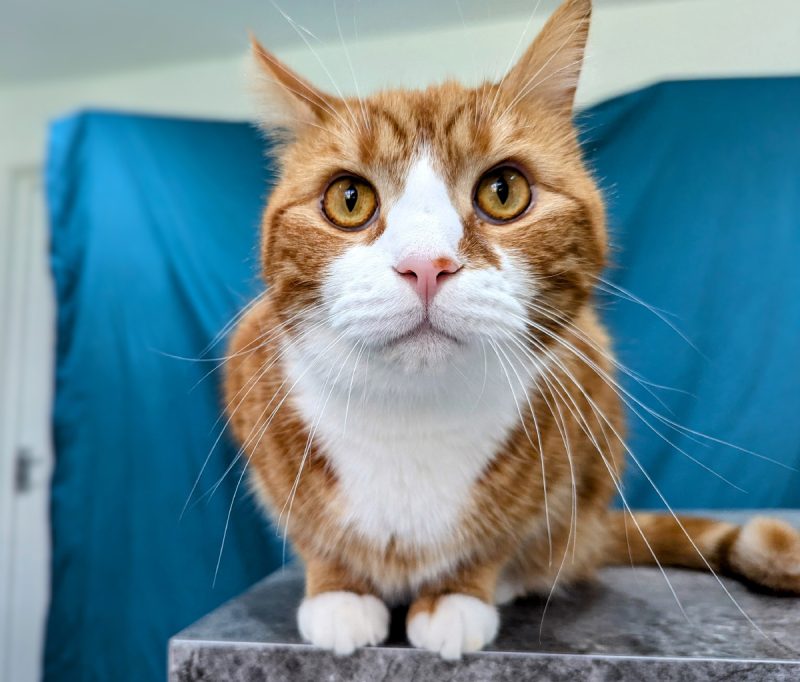 Alex and his long and winding whiskers.