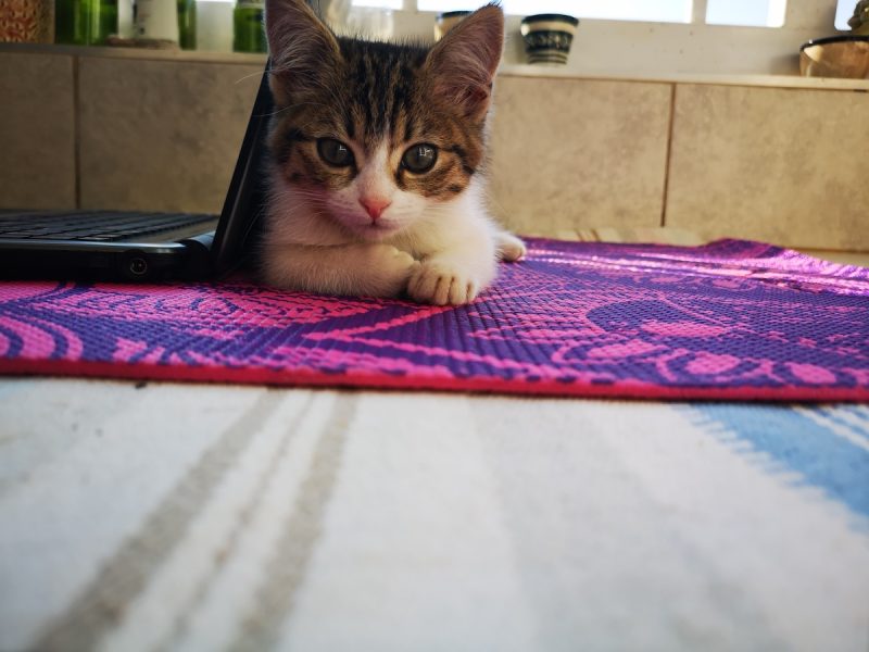 Baby Milly doing yoga with me