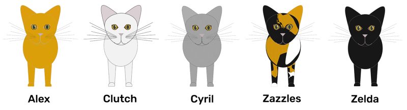 cat infographic