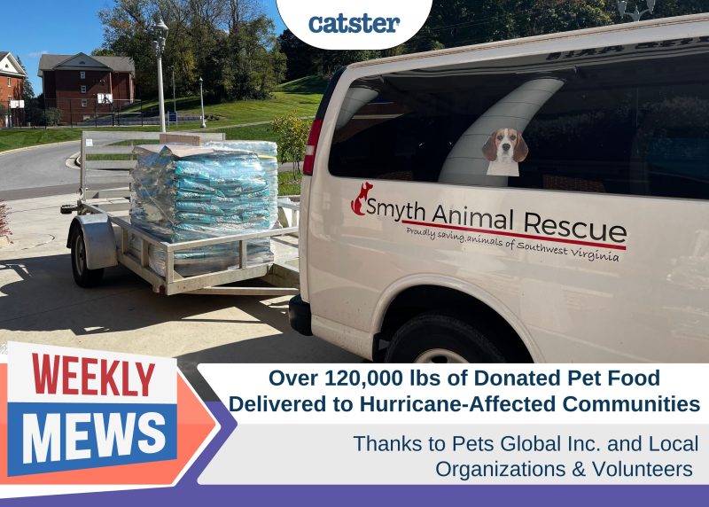 Catster_Weekly Mews_120000 lbs pet food delivered Pets Global