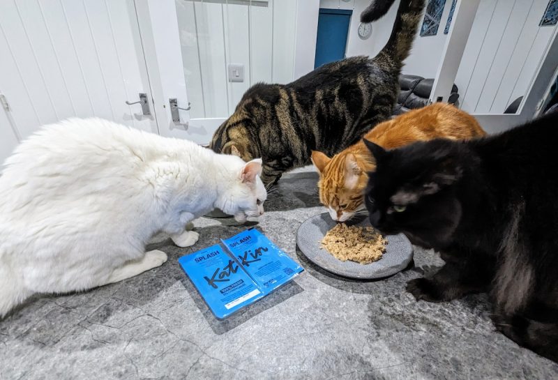 Clutch, Cyril, Alex, and Zelda sampling some fresh-frozen food.