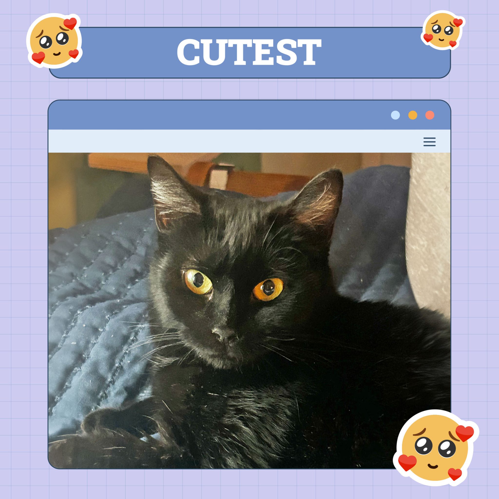 Cutest_Cleopatra