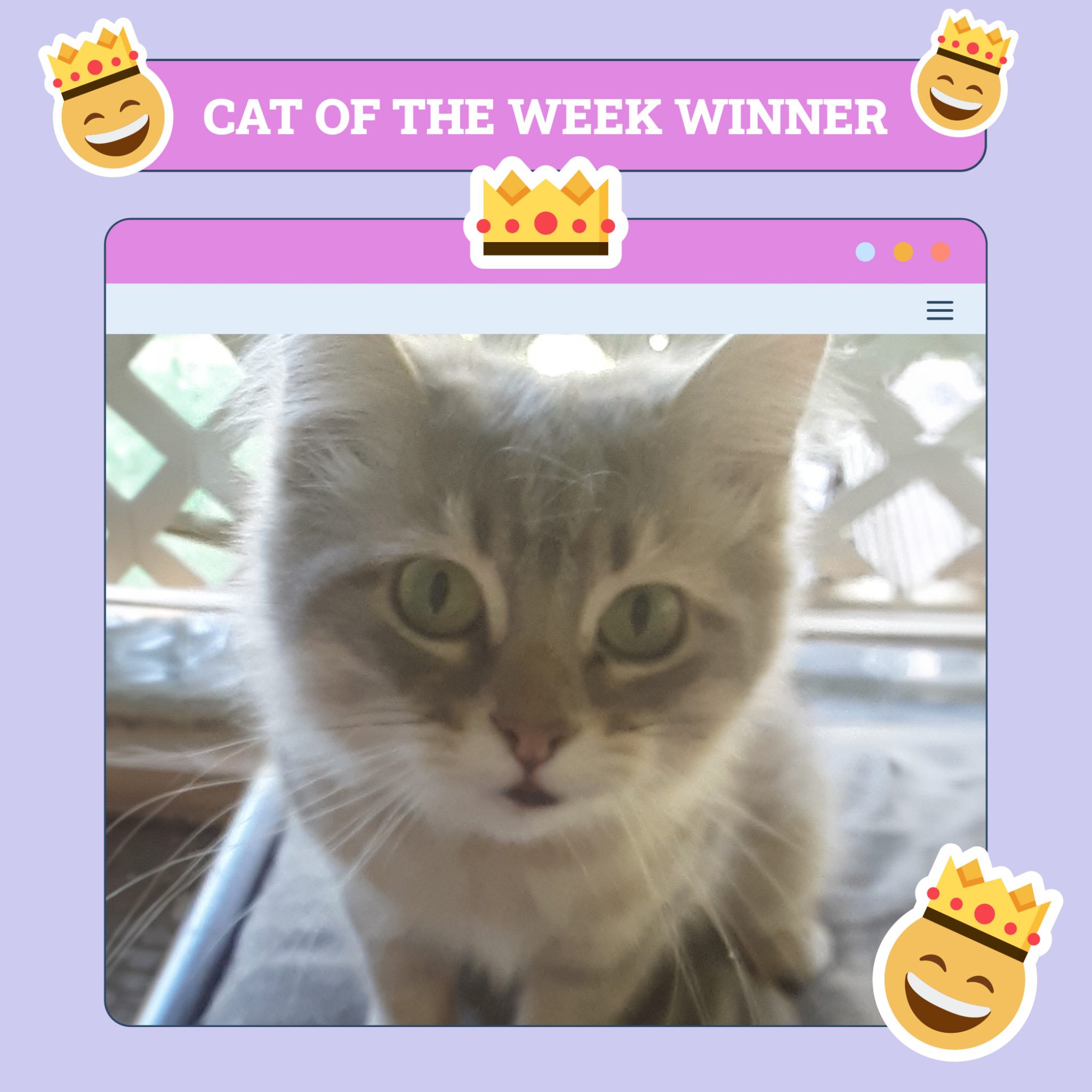 Georgie Winner