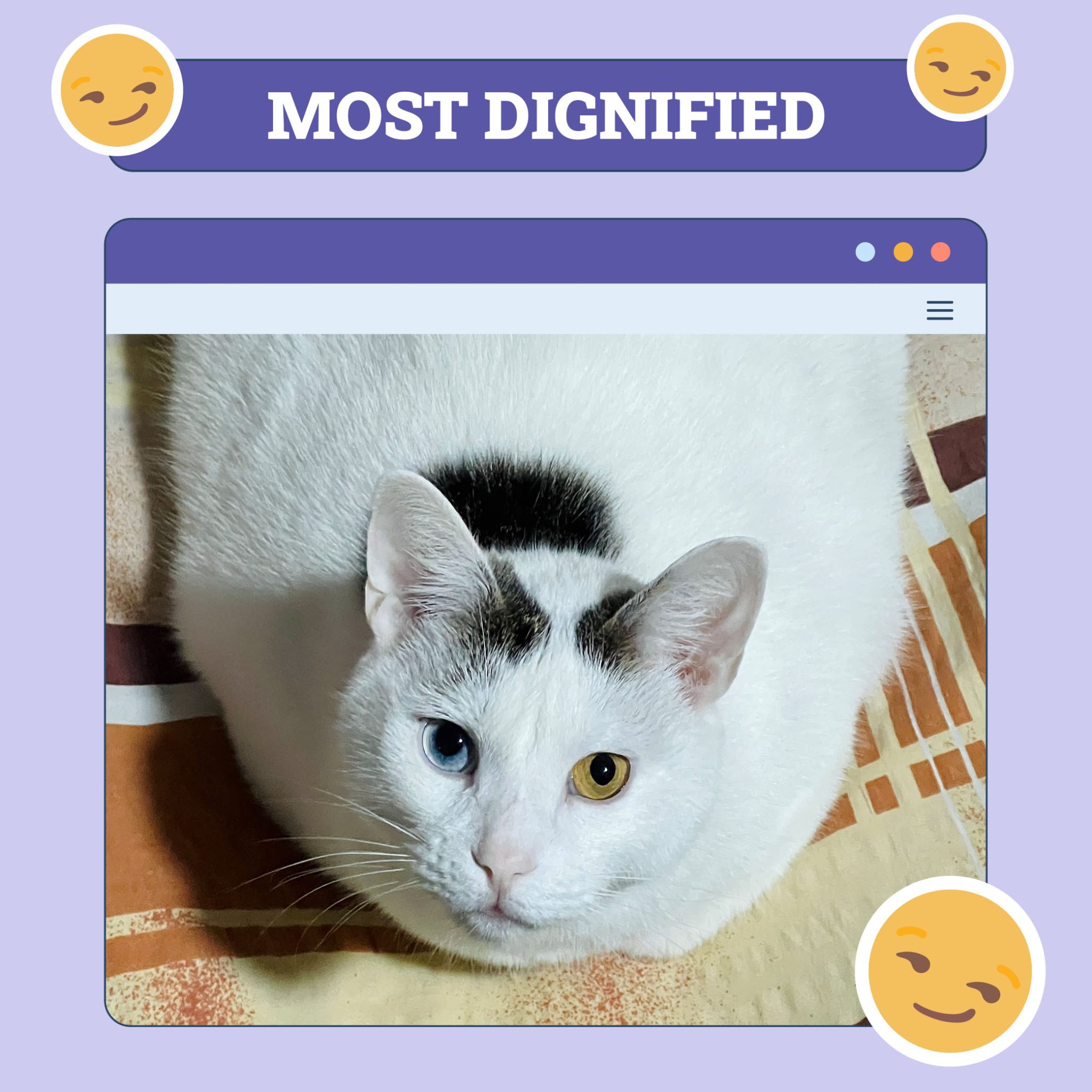 Haski_most_dignified