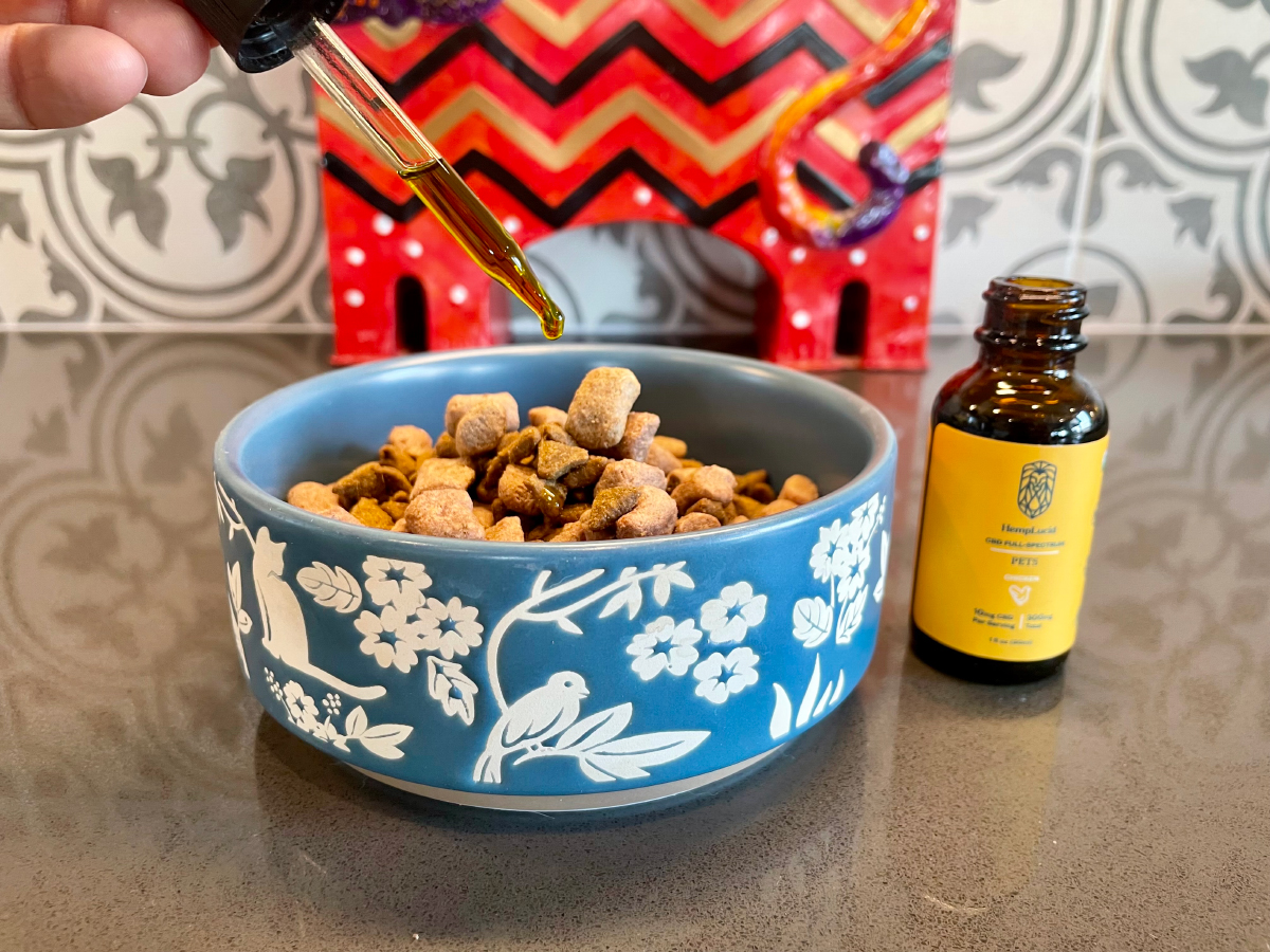 HempLucid Organic Full-Spectrum CBD - dropping CBD oil to makoa's cat food