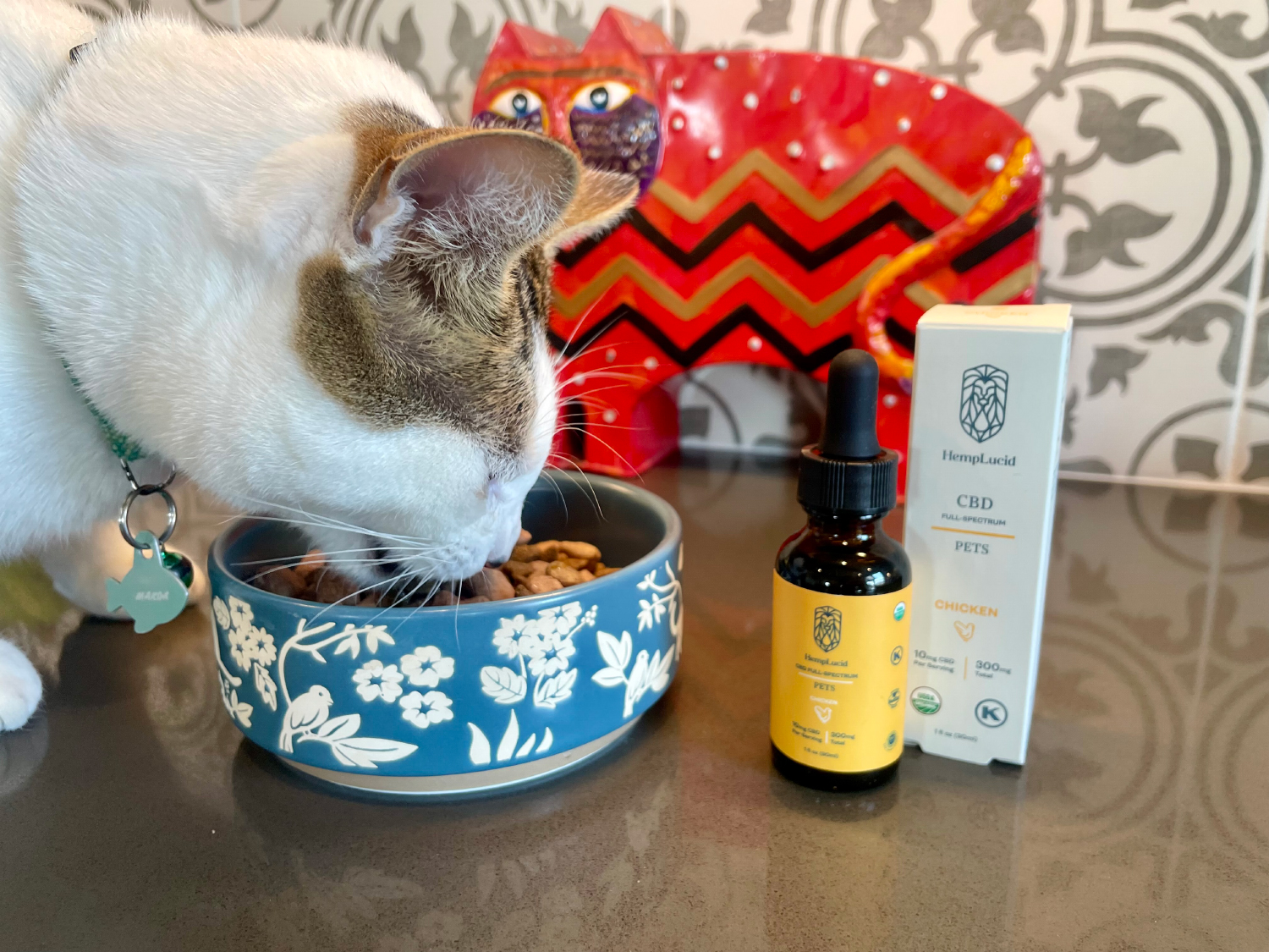 HempLucid Organic Full-Spectrum CBD - makoa eating cat food with CBD oil