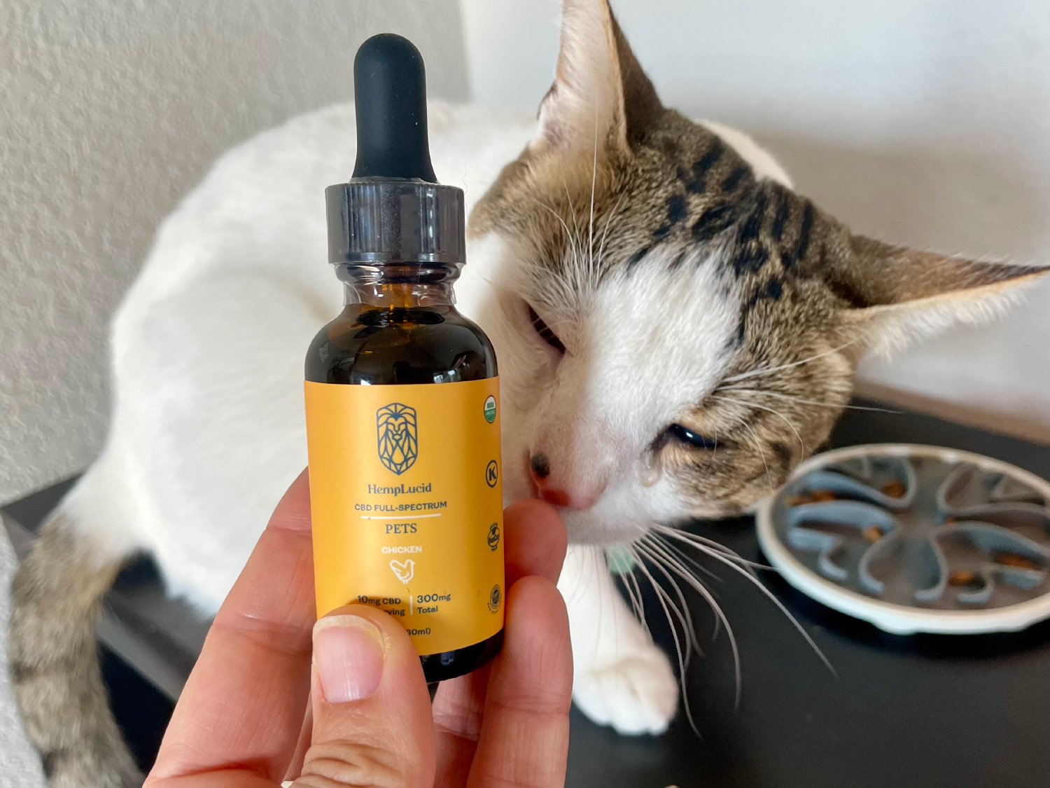 HempLucid Organic Full-Spectrum CBD - makoa sniffing the product bottle