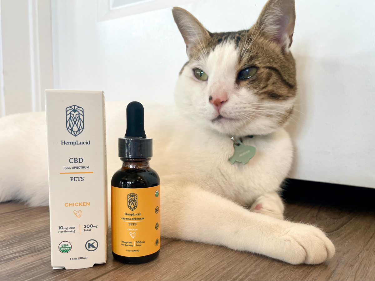 HempLucid Organic Full-Spectrum CBD - pet tincture box and bottle and makoa in the background