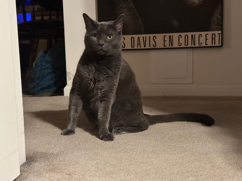 I haven't destroyed the poster behind me because I like Miles Davis.