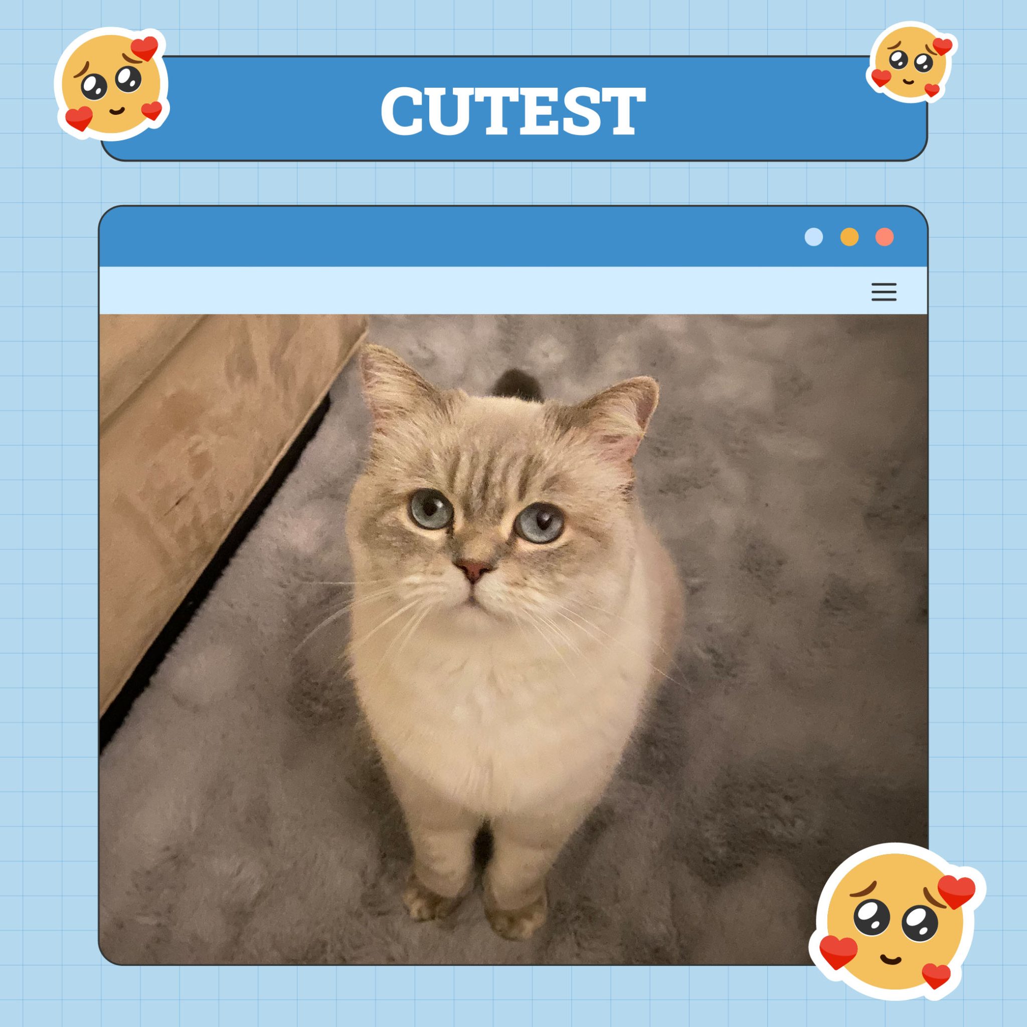 Mishka_cutest
