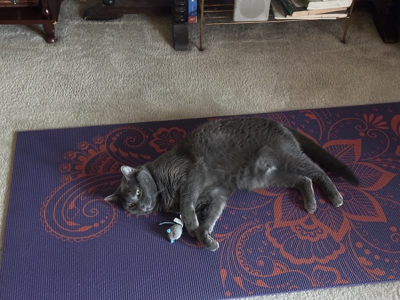 Please turn the volume on the stereo down. It's disturbing my peace.