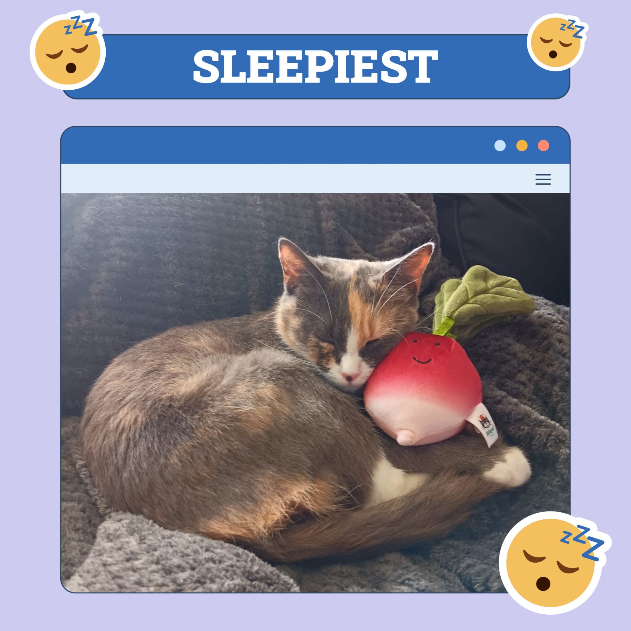 sleepiest_nov1