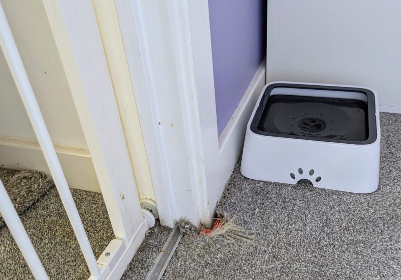 Unfortunately, there's always going to be some cat-induced damage