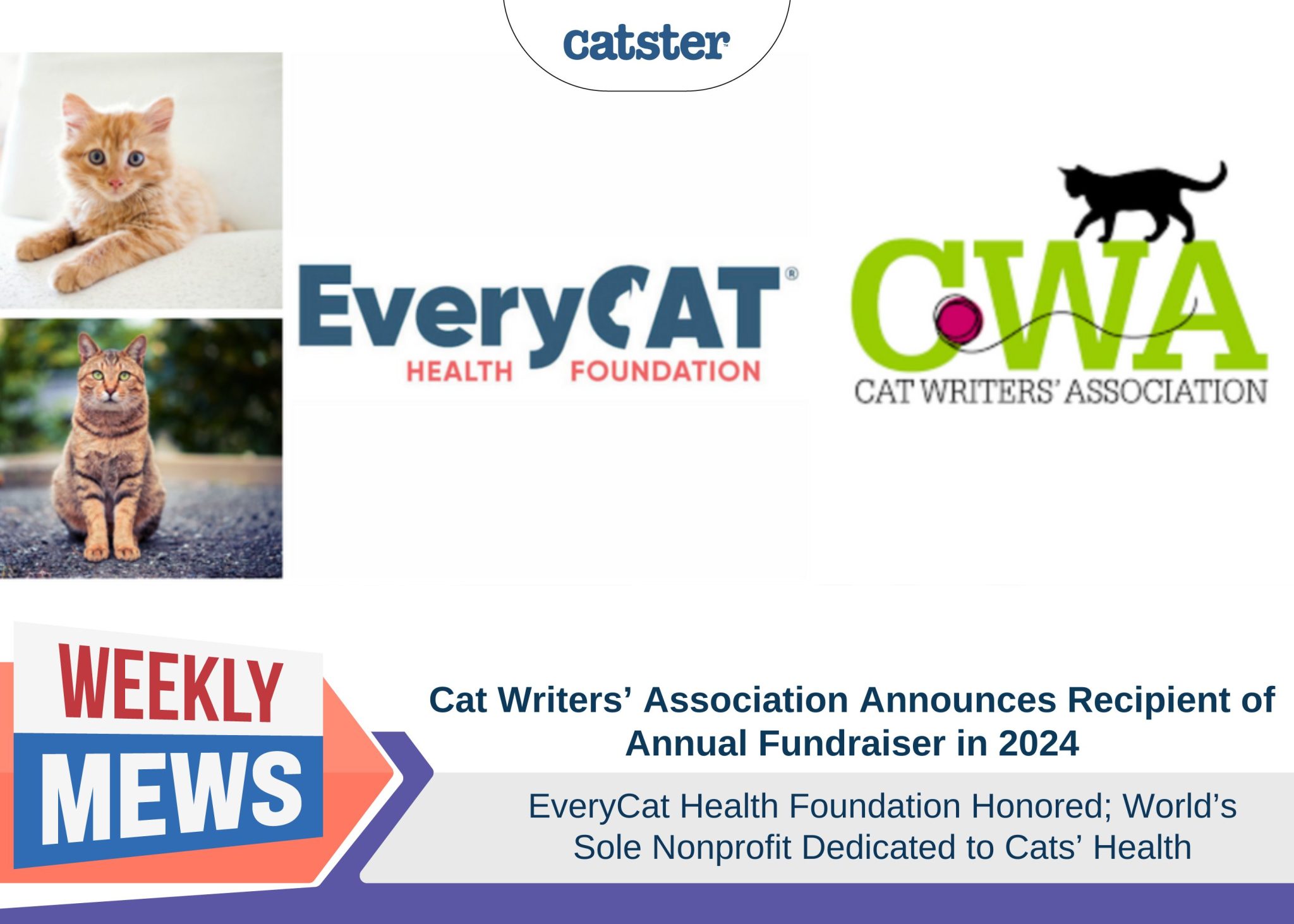 Weekly Mews - EveryCat Health Foundation Honored CWA 2024 fundraiser recipient