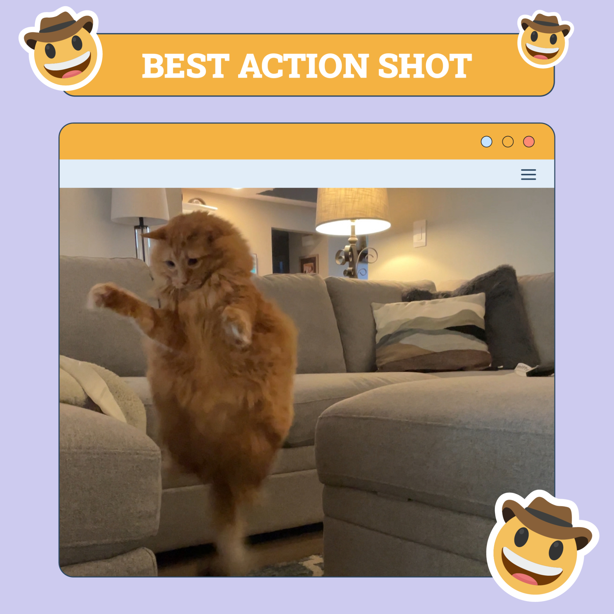 Best Action Shot Cat Nov 14