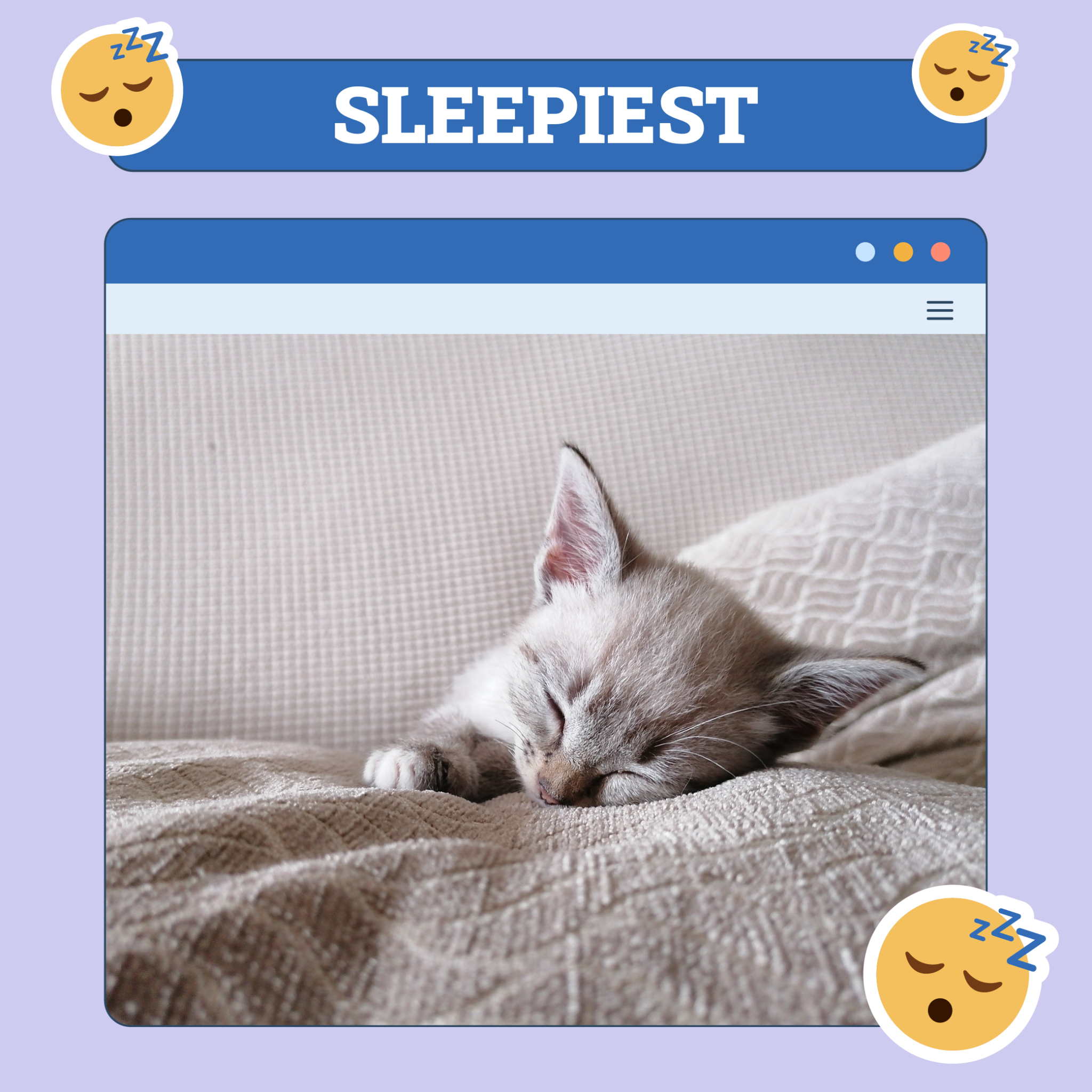 Sleepiest Cat Nov 14